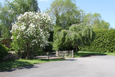 The Grounds 2
